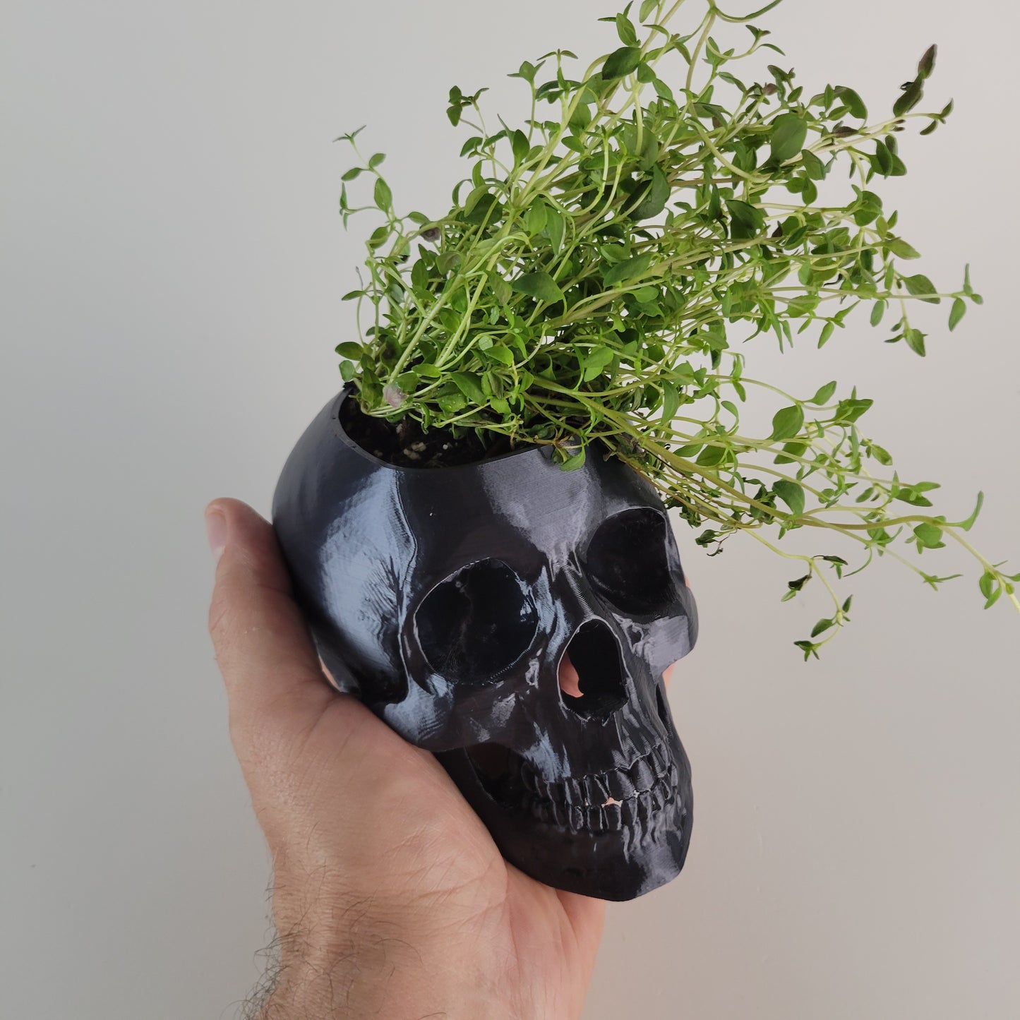 Skull Herb Planter, 3D Printed 3/4 sized skull replica.