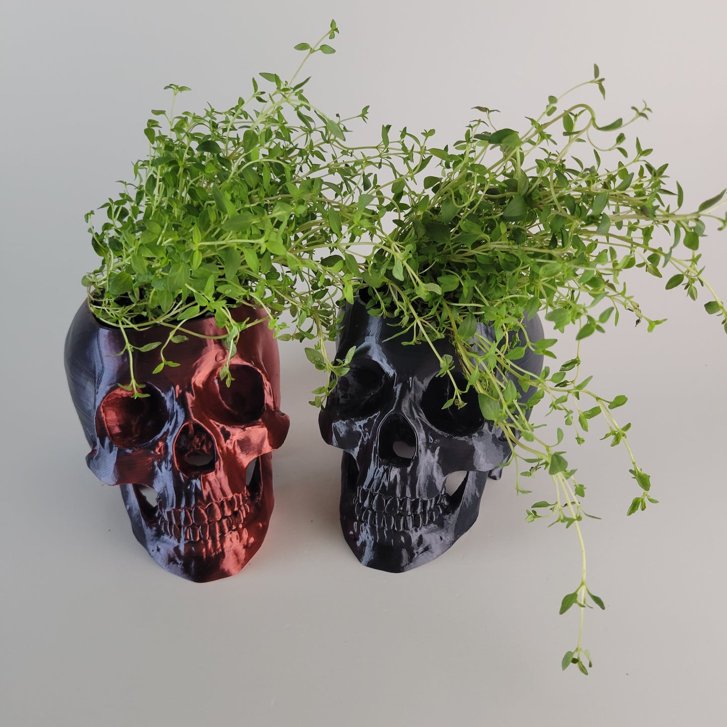 Skull Herb Planter, 3D Printed 3/4 sized skull replica.