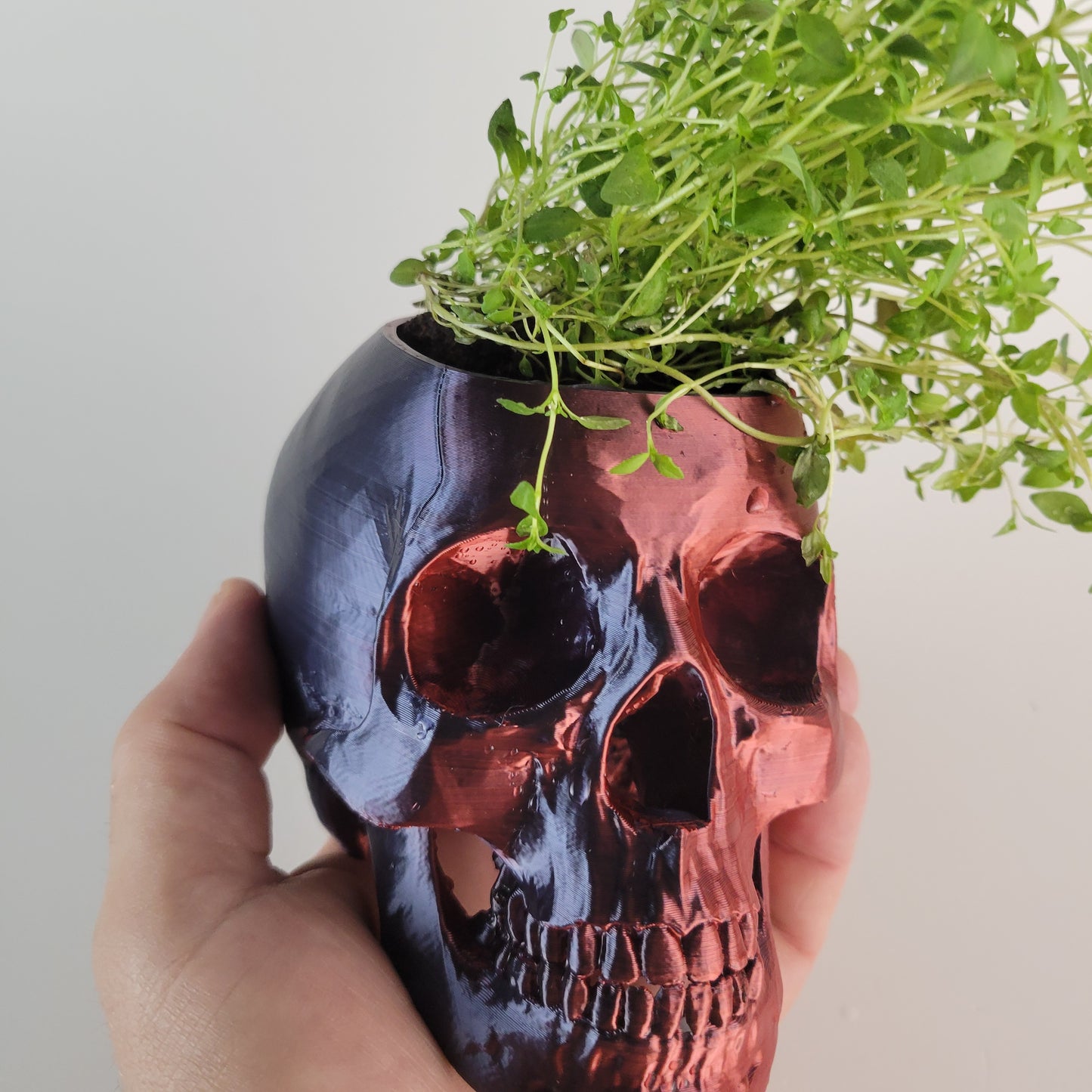 Skull Herb Planter, 3D Printed 3/4 sized skull replica.