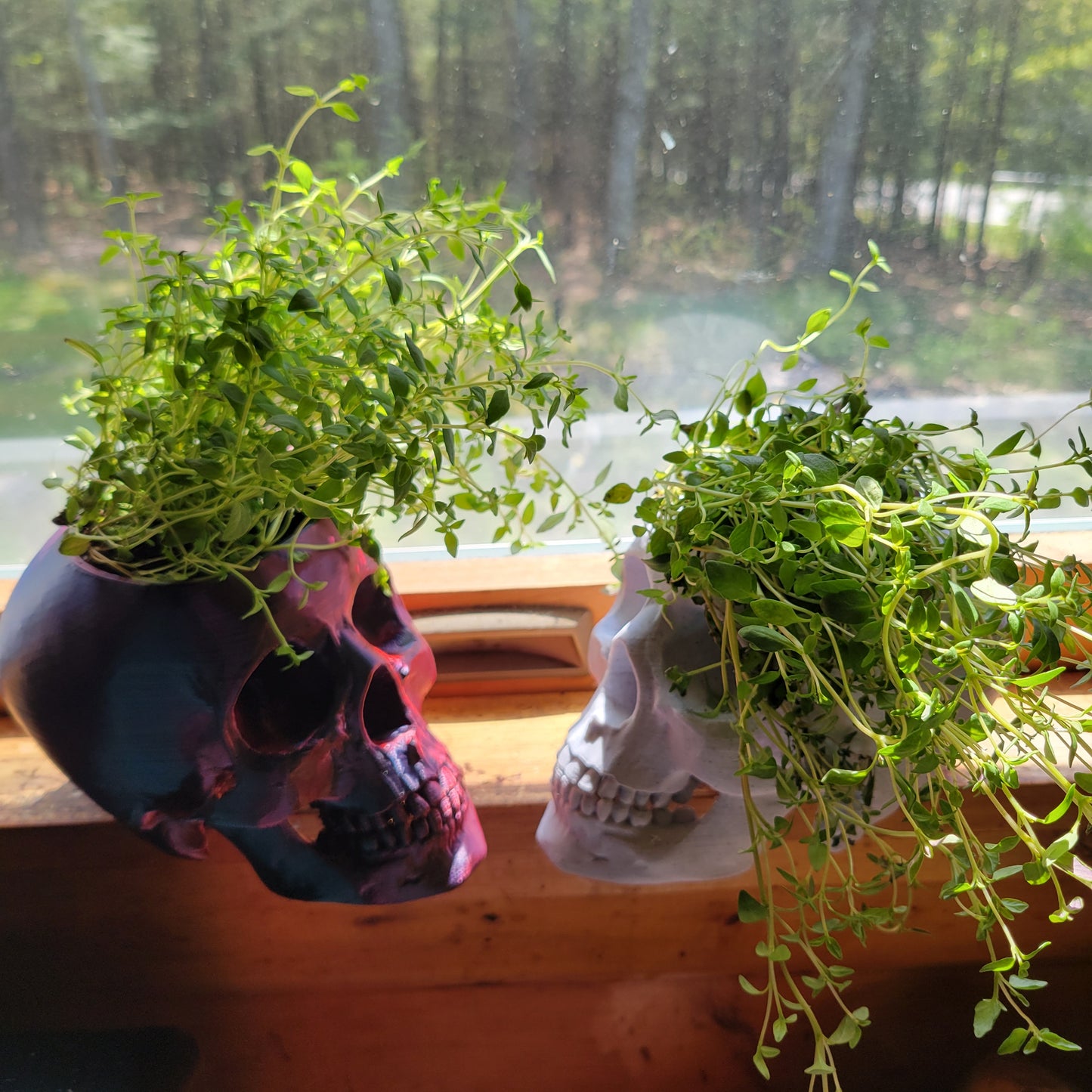 Skull Herb Planter, 3D Printed 3/4 sized skull replica.